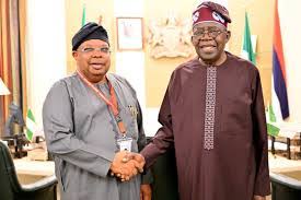 Tinubu nominates Tegbe as Power Minister